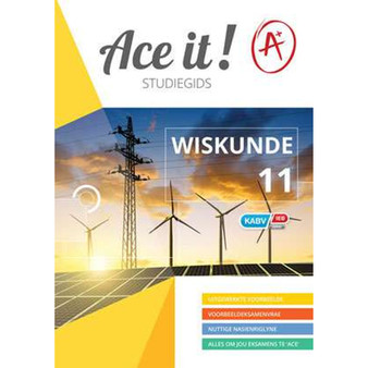 Ace it! Wiskunde Graad 11 - ISBN 9781920356323