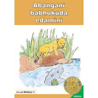 Big Book (Zulu) 1: Abangani Babhukuda Edamini - ISBN 9780796032799