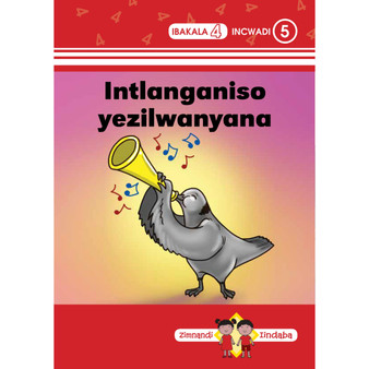 Zimnandi Iindaba Red Series: L4 B5: Intlanganiso Yezilwan - ISBN 9780796059871
