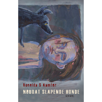 Noudat slapende honde - ISBN 9780795702730