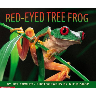Red-Eyed Tree Frog - ISBN 9780590871761