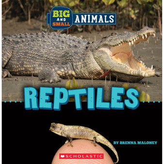 Big and Small: Reptiles - ISBN 9781338853605