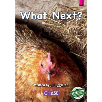 Key Links - What Next?: Level 01/Magenta - ISBN 9780702190049