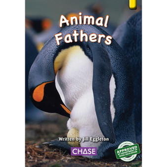 Key Links - Animal Fathers: Level 06/Yellow - ISBN 9780702190506