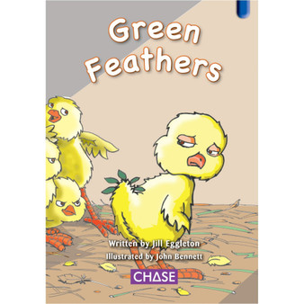 Key Links - Green Feathers: Level 11/Blue - ISBN 9780702190872
