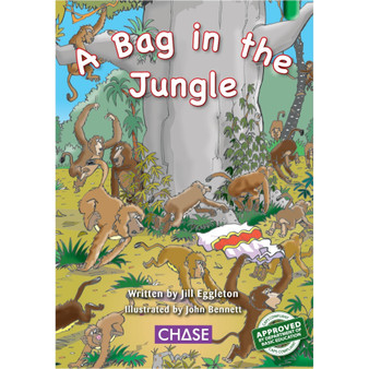 Key Links - A bag in the Jungle: Level 13/Green - ISBN 9780702191046