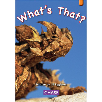 Key Links - What's that?: Levels 15-16/Orange - ISBN 9780702191275