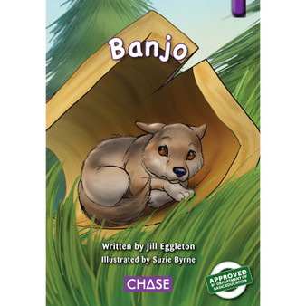 Key Links - Banjo (HL): Levels 19-20/Purple - ISBN 9780702191787