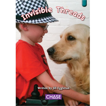 Key Links - Invisible Threads: Levels 25-26/Emerald - ISBN 9781485105619