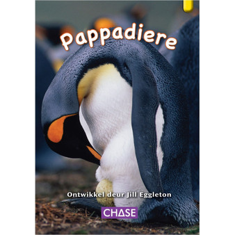 Key Links - Pappadiere: Level 06/Yellow - ISBN 9781485103226