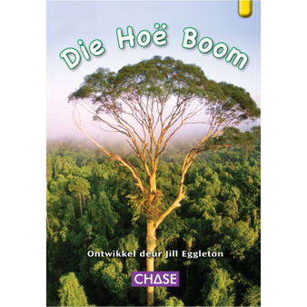 Key Links - Die Hoë Boom: Level 07/Yellow - ISBN 9781485103271