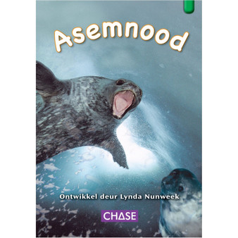 Key Links - Asemnood: Level 12/Green - ISBN 9781485110279