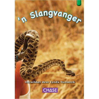 Key Links - 'n Slangvanger: Level 13/Green - ISBN 9781485103783