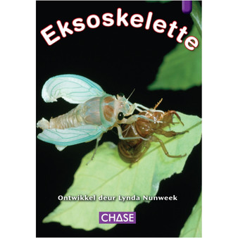 Key Links - Eksoskelette: Levels 19-20/Purple - ISBN 9781485110385