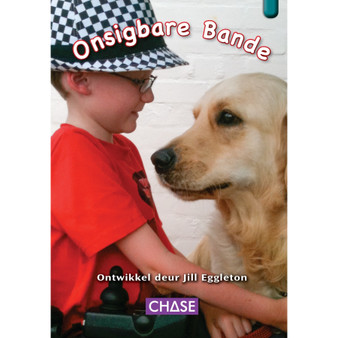 Key Links - Onsigbare Bande: Levels 25-26/Emerald - ISBN 9781485112457