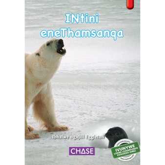 Key Links - Intini Enethamsanqa (Lucky Seal): Level 03/Red - ISBN 9781928532057