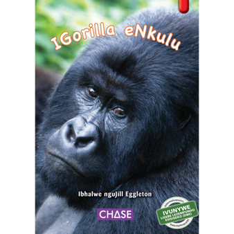 Key Links - IGorilla eNkulu (Big Gorilla): Level 04/Red - ISBN 9781928532156