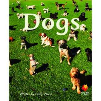 FLYING START DOGS L1 - ISBN 9781742340012