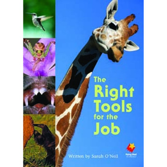 Flying Start: Right Tools for the Job (Level 22) - ISBN 9781742341323