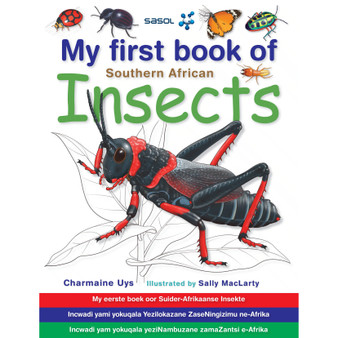 My First Book of Southern African Insects - ISBN 9781770072138