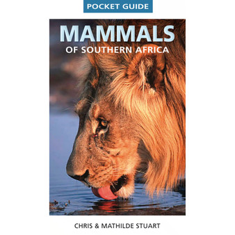 Pocket Guide Mammals of Southern Africa - ISBN 9781770078611