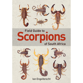 Field Guide to Scorpions of South Africa - ISBN 9781775845744