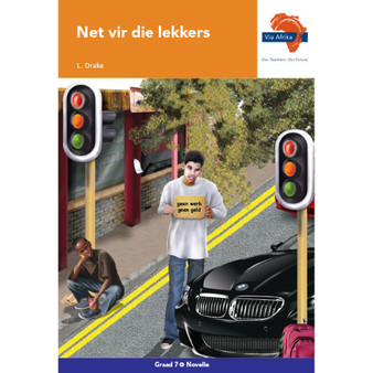 Via Afrika Afrikaans Huistaal Graad 7 Novelle: Net vir die lekkers - ISBN 9781415441411