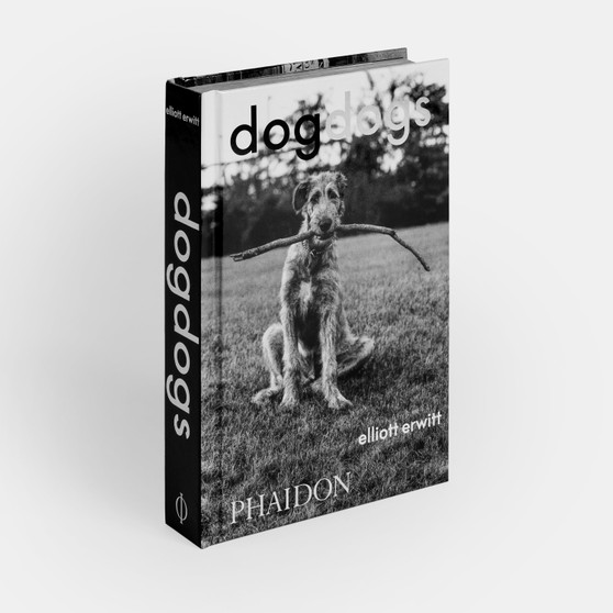 DogDogs - ISBN 9781838669256