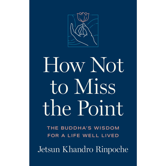 How Not to Miss the Point - ISBN 9781611808568