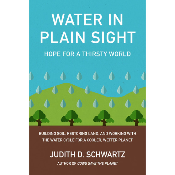 Water in Plain Sight - ISBN 9781603589161