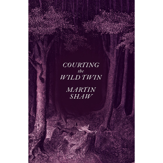 Courting the Wild Twin - ISBN 9781603589505