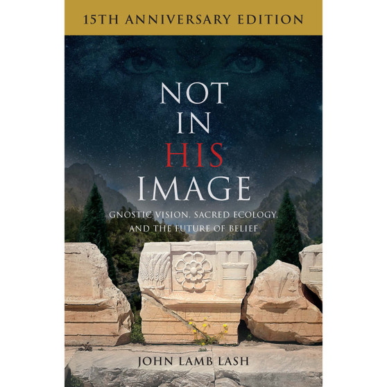 Not in His Image (15th Anniversary Edition) - ISBN 9781645021360