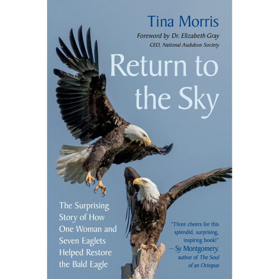 Return to the Sky (hardcover) - ISBN 9781645022633