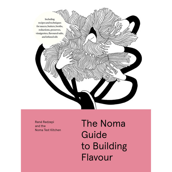 The Noma Guide to Building Flavour: Including Recipes and Techniques for Sauces, Butters, Broths, Reductions, Preserves, Vinaigrettes, Flavoured Salts, and Infused Oils - ISBN 9781579657192