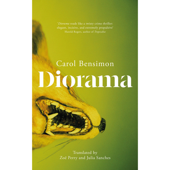 Diorama - ISBN 9781529438451