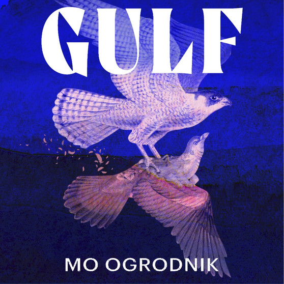Gulf - ISBN 9781399815291