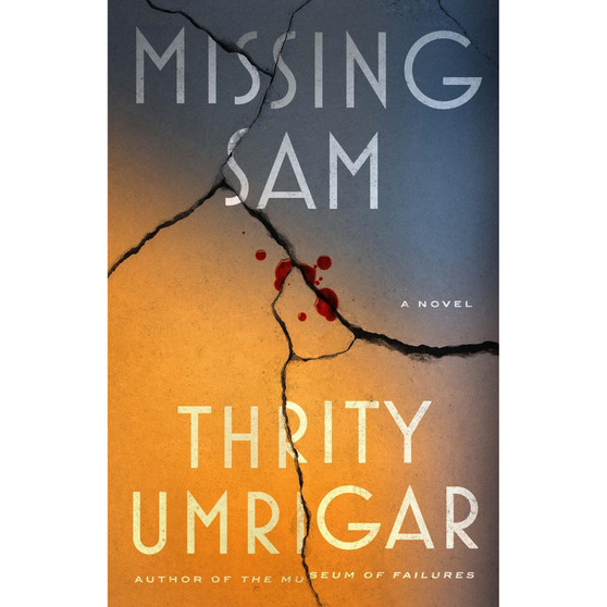 Missing Sam: A Novel - ISBN 9781643757629