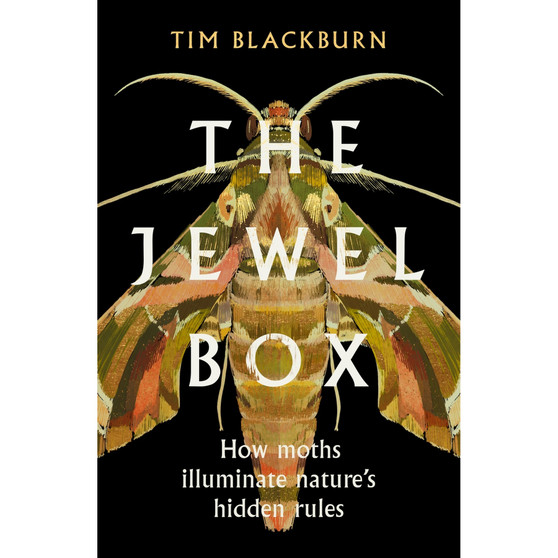 The Jewel Box - ISBN 9781474624541