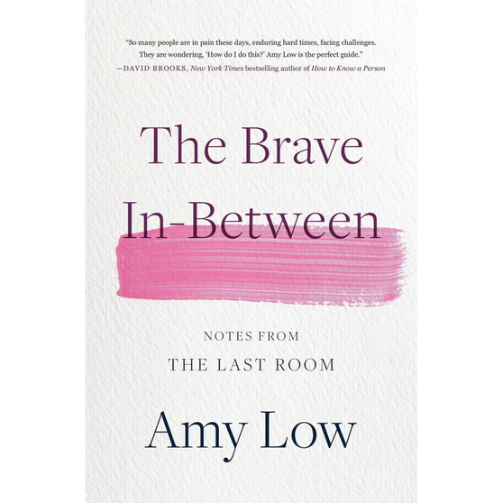 The Brave In-Between: Notes from the Last Room - ISBN 9780306831799