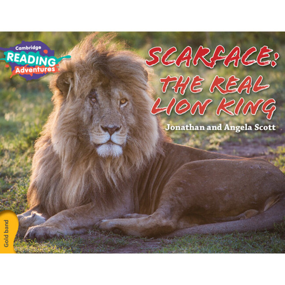 Cambridge Reading Adventures Scarface: The Real Lion King Gold Band - ISBN 9781107560475