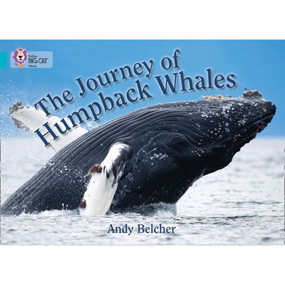 Collins Big Cat - The Journey of Humpback Whales: Band 07/Turquoise - ISBN 9780007461820