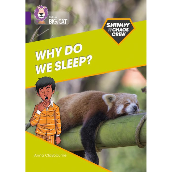 Collins Big Cat - Shinoy and the Chaos Crew: Why do we sleep?: Band 08/Purple - ISBN 9780008454784