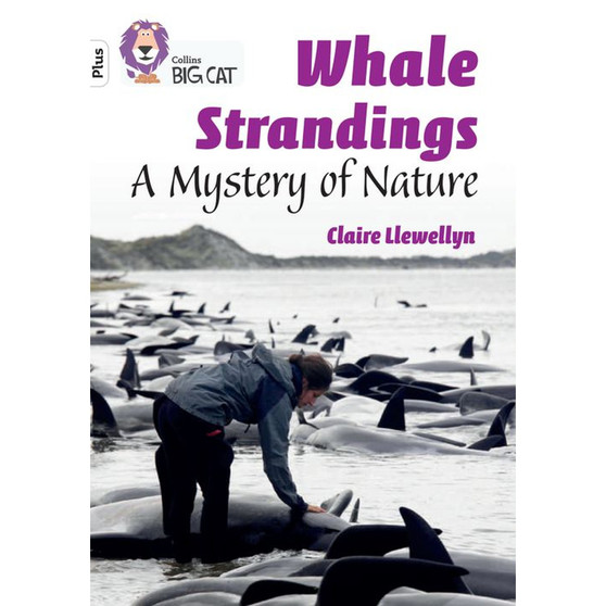 Collins Big Cat - Whale Strandings: A Mystery of Nature: Band 10+/White Plus - ISBN 9780008485573