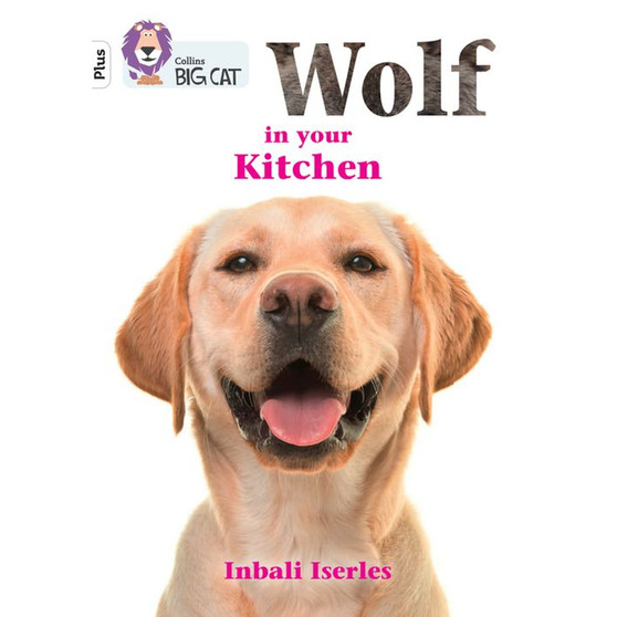 Collins Big Cat - Wolf in your kitchen: Band 10+/White Plus - ISBN 9780008485689