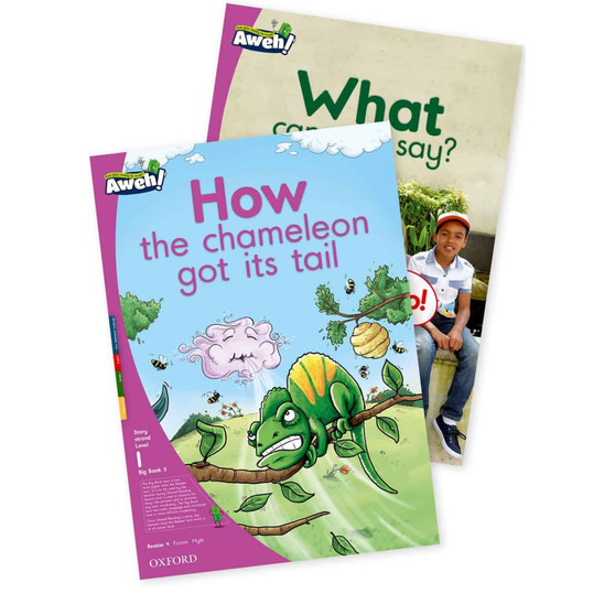 Aweh! Grade 1 Level 1 Big Book 5 - ISBN 9780190425067