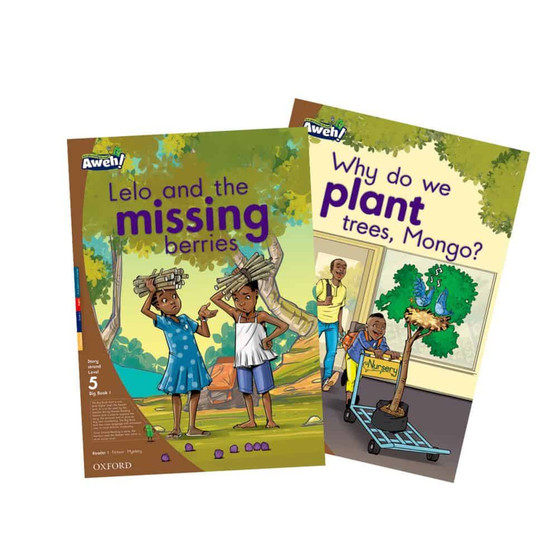 Aweh! Grade 2 Level 5 Big Book 1 - ISBN 9780190439019