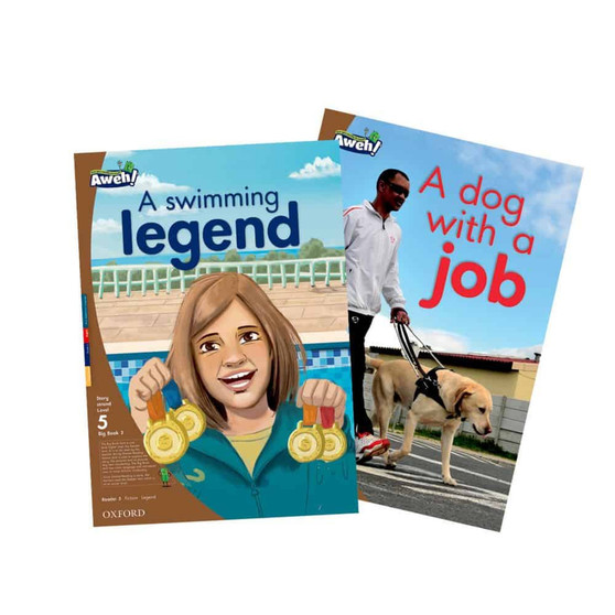 Aweh! Grade 2 Level 5 Big Book 3 - ISBN 9780190434359