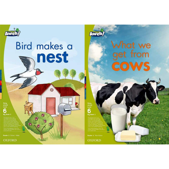 Aweh! Grade 2 Level 6 Big Book 2 - ISBN 9780190431167