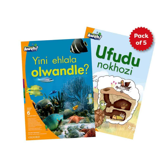 Aweh! Ibanga 2 Izinga 6 Ipheki yezincwadi ezinkulu (zi-5) - ISBN 9780190758004