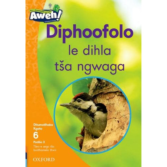Aweh! Mphato 2 Kgato 6 Padiso 3: Diphoofolo le dihla ta ngwaga - ISBN 9780190744700